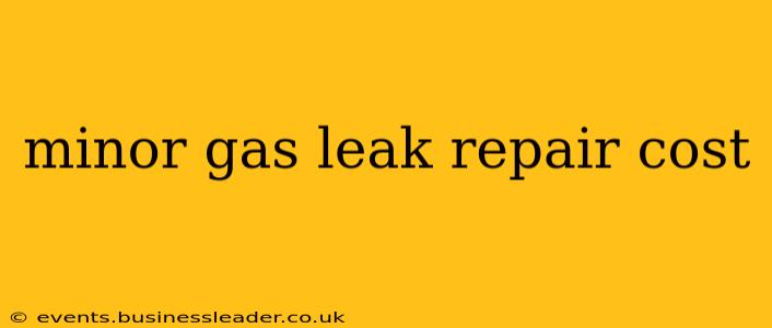 minor gas leak repair cost