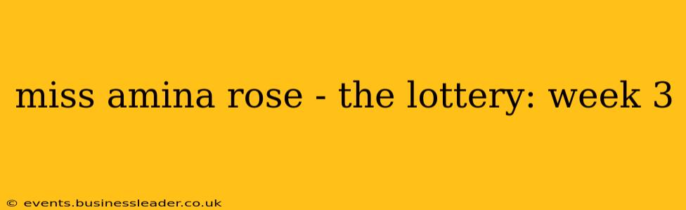 miss amina rose - the lottery: week 3