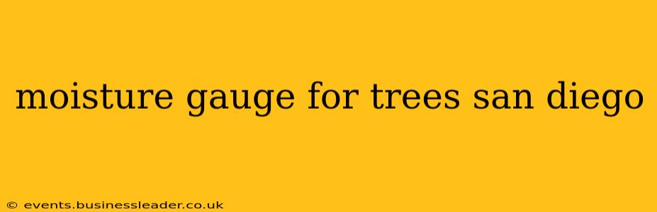 moisture gauge for trees san diego