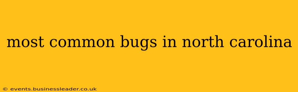 most common bugs in north carolina