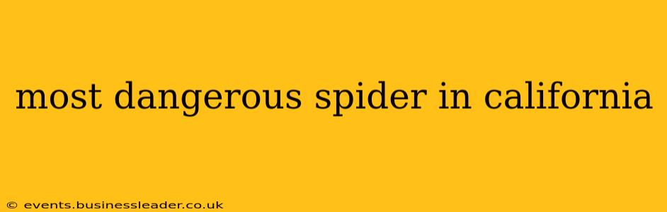 most dangerous spider in california