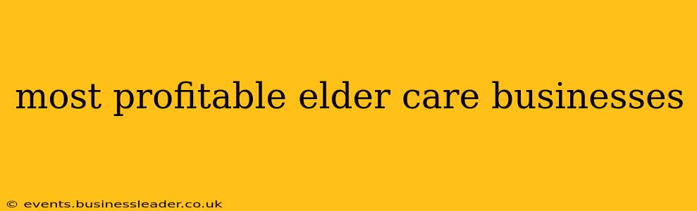 most profitable elder care businesses