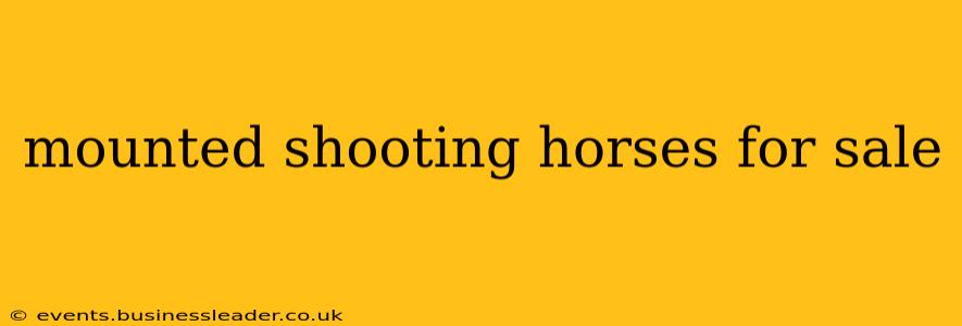 mounted shooting horses for sale