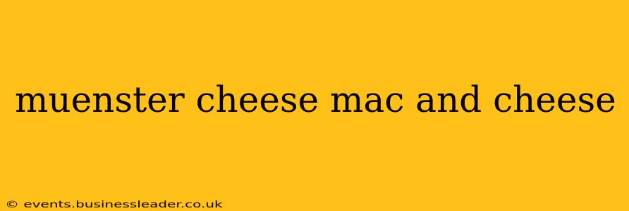 muenster cheese mac and cheese