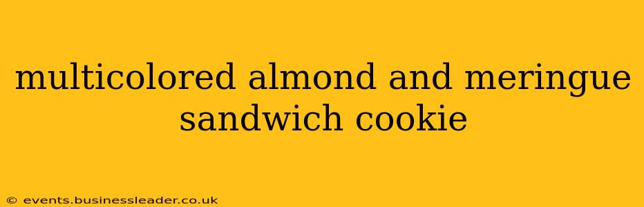 multicolored almond and meringue sandwich cookie