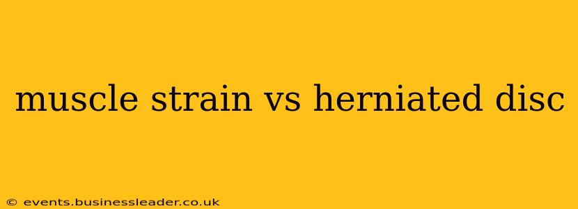 muscle strain vs herniated disc