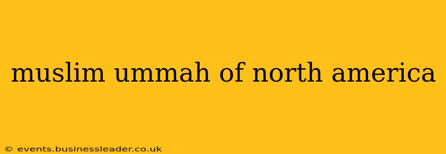 muslim ummah of north america