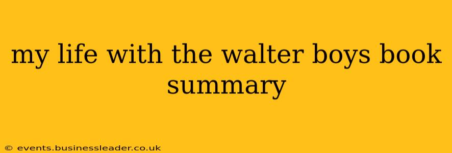 my life with the walter boys book summary