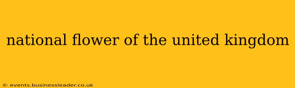 national flower of the united kingdom