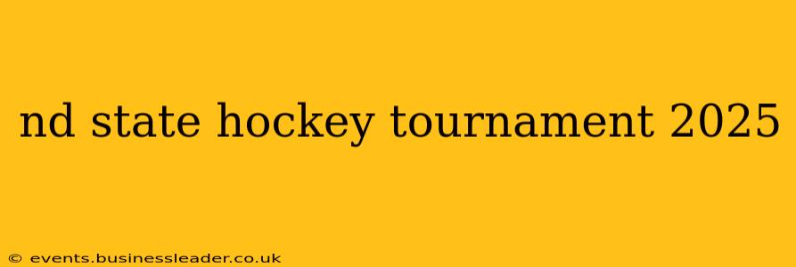 nd state hockey tournament 2025