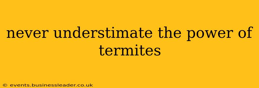 never understimate the power of termites