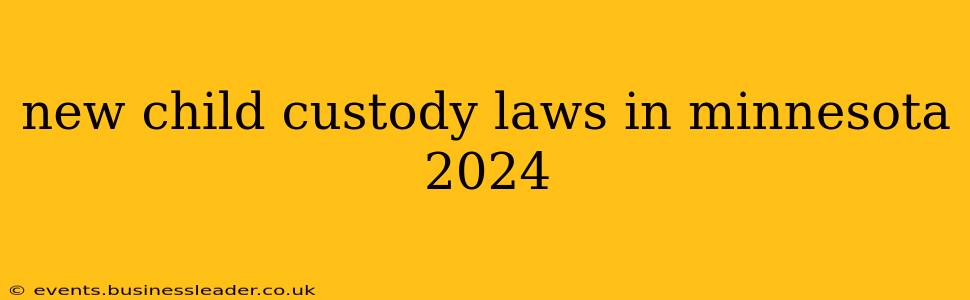 new child custody laws in minnesota 2024
