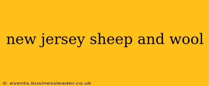 new jersey sheep and wool