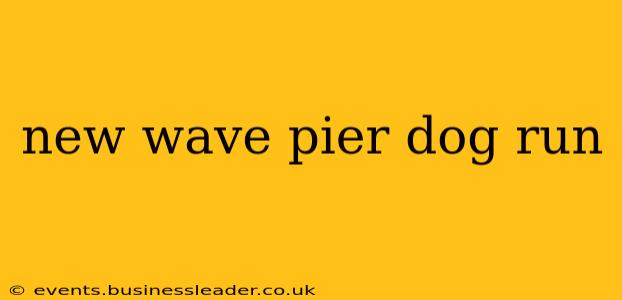 new wave pier dog run