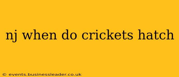 nj when do crickets hatch