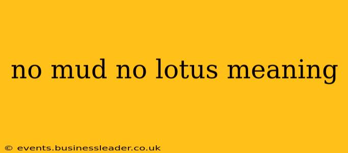 no mud no lotus meaning