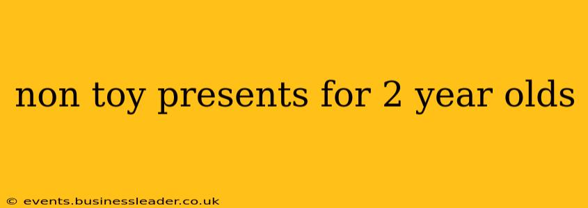 non toy presents for 2 year olds