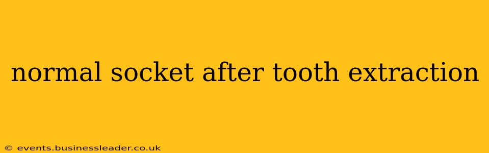 normal socket after tooth extraction