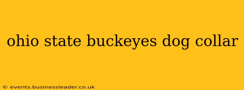 ohio state buckeyes dog collar