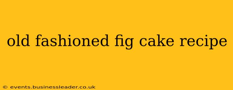 old fashioned fig cake recipe