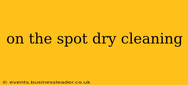 on the spot dry cleaning