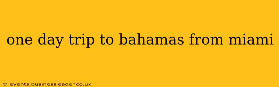 one day trip to bahamas from miami