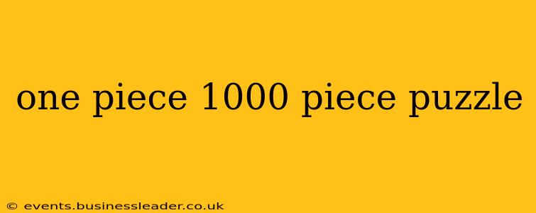 one piece 1000 piece puzzle