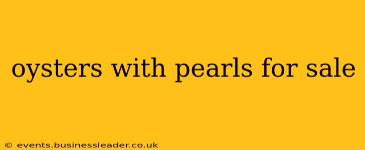 oysters with pearls for sale