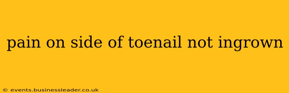 pain on side of toenail not ingrown