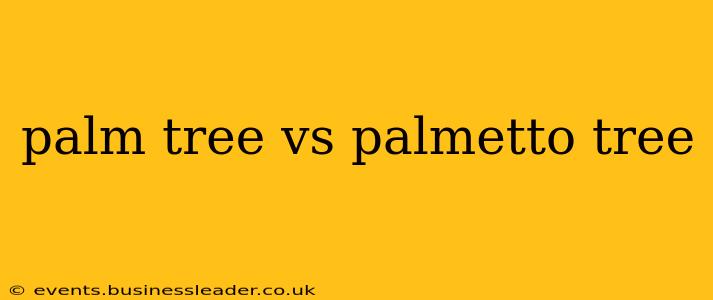 palm tree vs palmetto tree