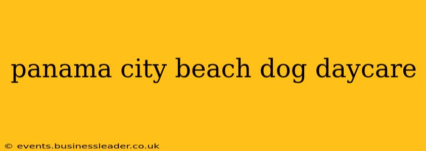 panama city beach dog daycare