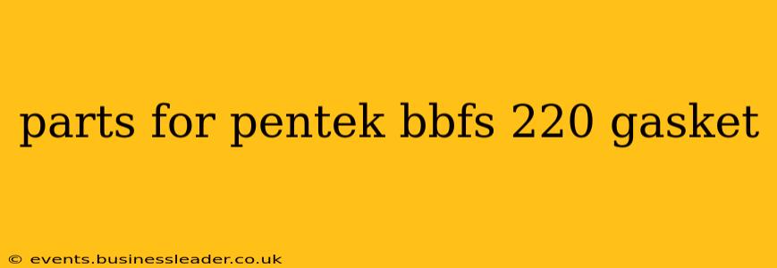 parts for pentek bbfs 220 gasket