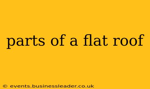 parts of a flat roof