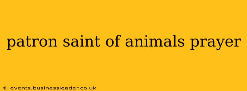 patron saint of animals prayer