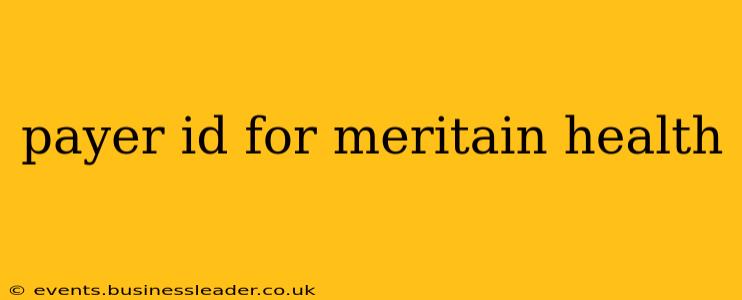payer id for meritain health