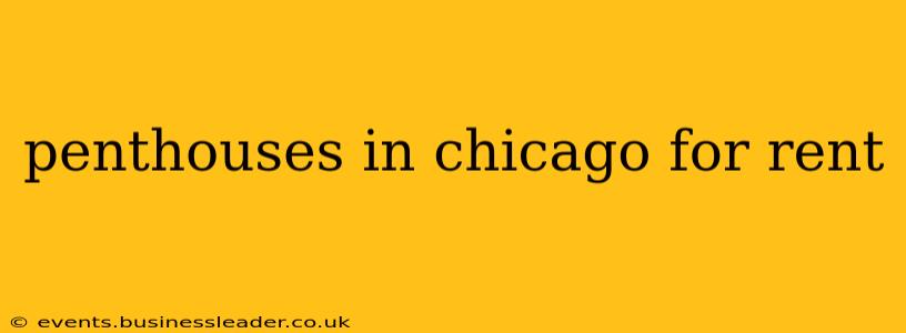 penthouses in chicago for rent