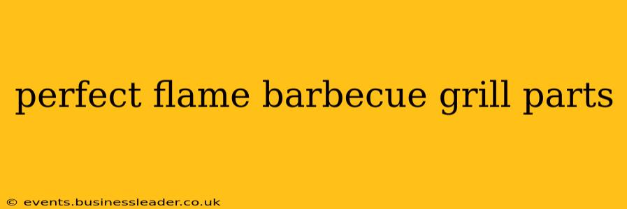perfect flame barbecue grill parts
