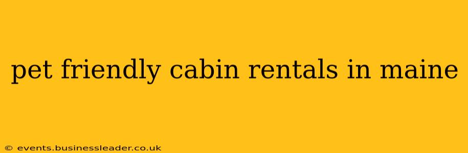 pet friendly cabin rentals in maine