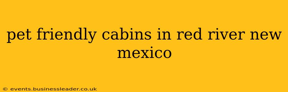 pet friendly cabins in red river new mexico