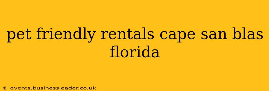 pet friendly rentals cape san blas florida