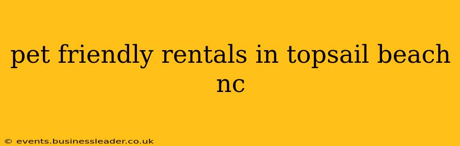 pet friendly rentals in topsail beach nc