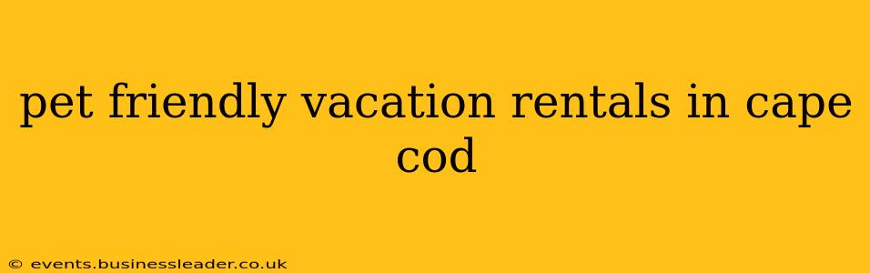 pet friendly vacation rentals in cape cod