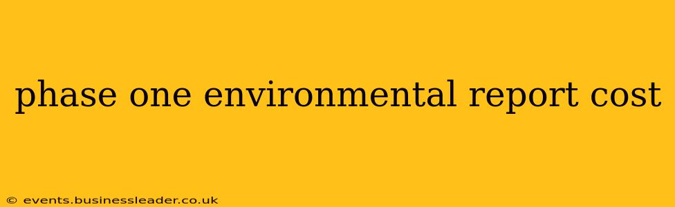 phase one environmental report cost