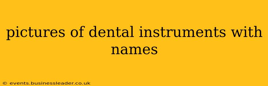 pictures of dental instruments with names
