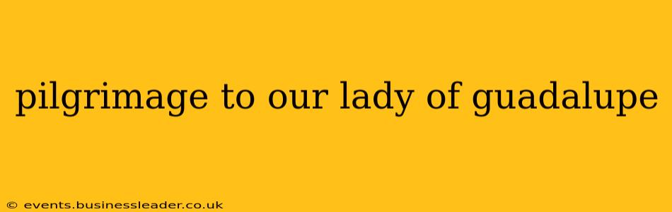 pilgrimage to our lady of guadalupe
