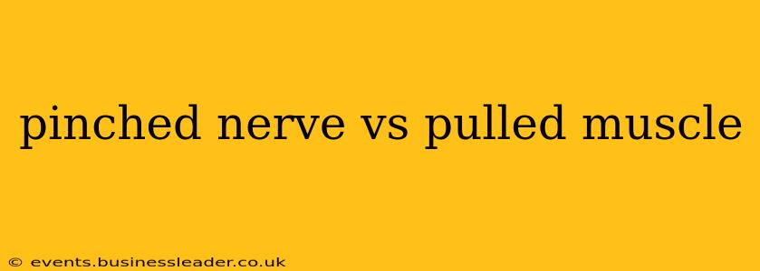 pinched nerve vs pulled muscle