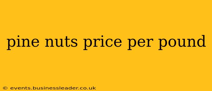 pine nuts price per pound