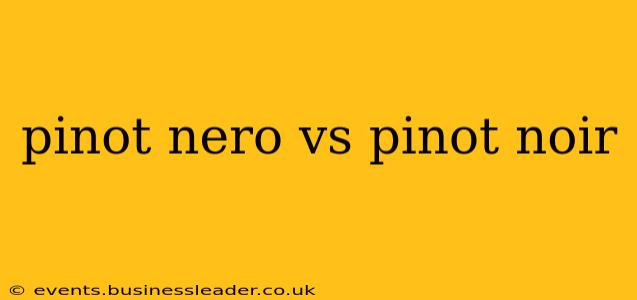 pinot nero vs pinot noir
