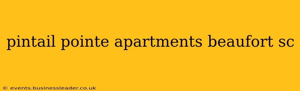 pintail pointe apartments beaufort sc