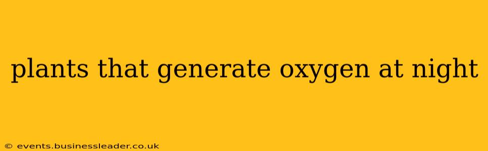 plants that generate oxygen at night